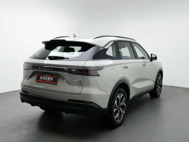 Haval Xiaolong MAX — Фото автомобиля 2