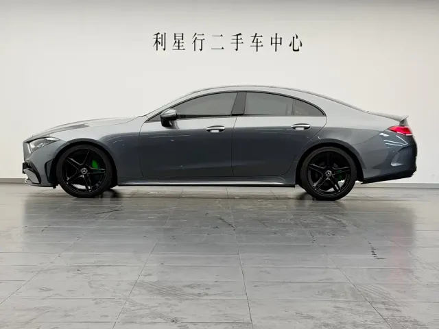 Mercedes-Benz CLS-Class — Фото автомобиля 8