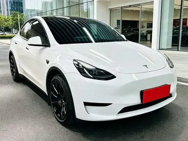 Tesla Model Y — Фото автомобиля 3