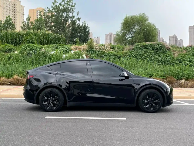 Tesla Model Y — Фото автомобиля 8