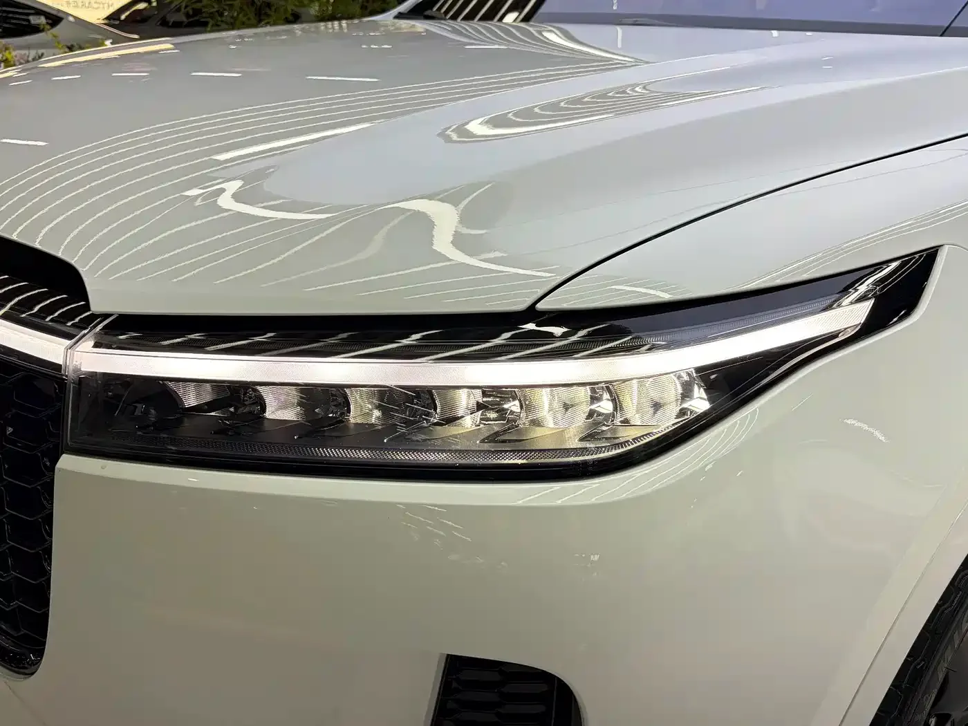 Li Auto Li ONE 2021 Extended Range 6-Seater — Фото автомобиля 5