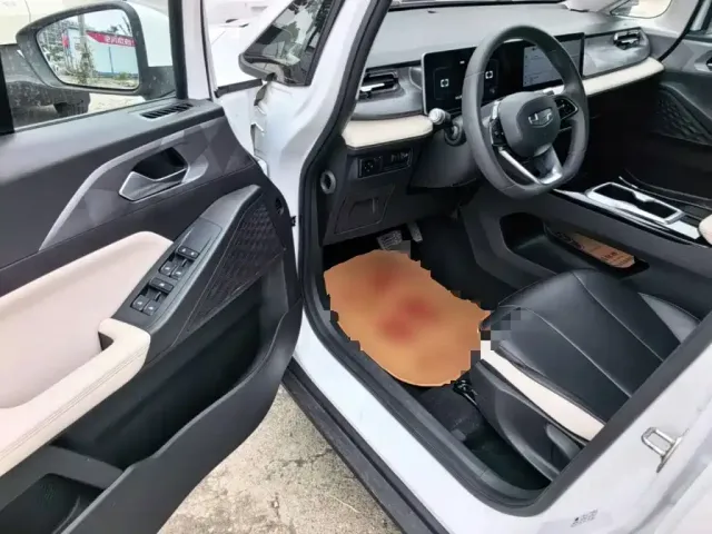 Geely Geometry E Firefly — Фото автомобиля 15