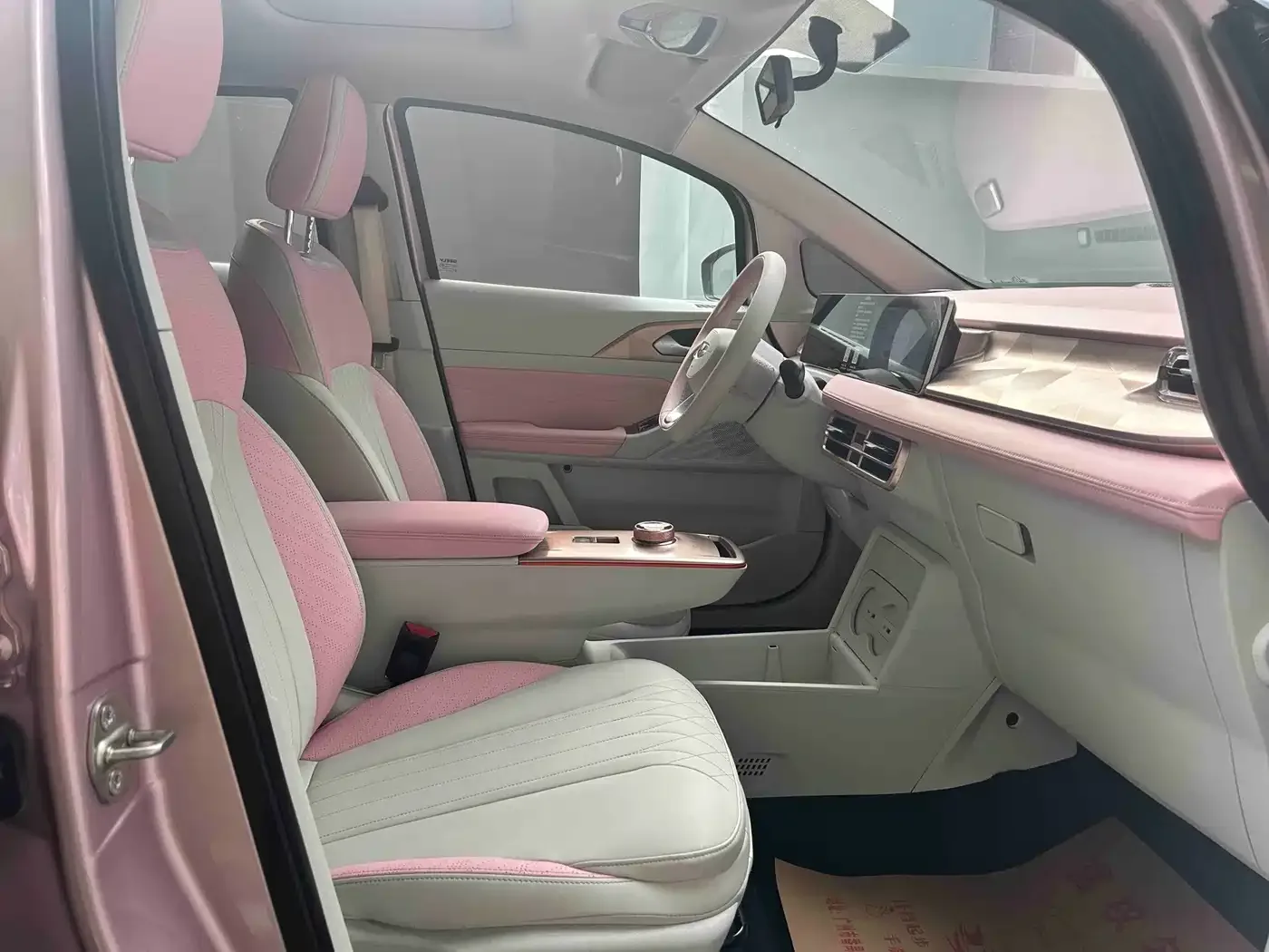 Geely Geometry Geely Geometry E Firefly 2023 401KM Super Fan Special Edition 5-Seater — Фото автомобиля 15