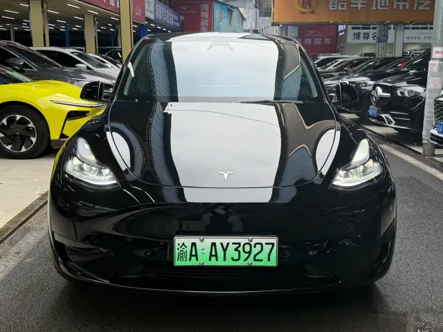 Tesla Model Y — Фото автомобиля 2