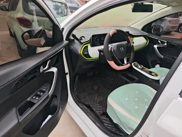Changan Benben E-Star — Фото автомобиля 15