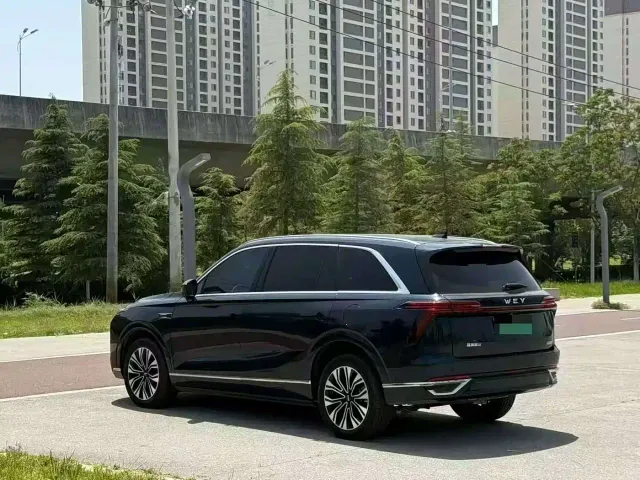 Wey Lanshan — Фото автомобиля 9