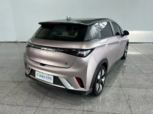 BYD Dolphin — Фото автомобиля 26