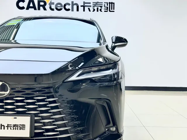 Lexus RX — Фото автомобиля 7