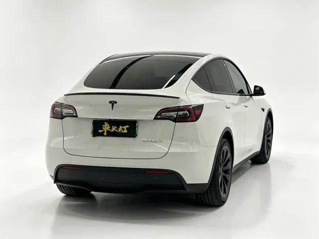 Tesla Model Y — Фото автомобиля 10