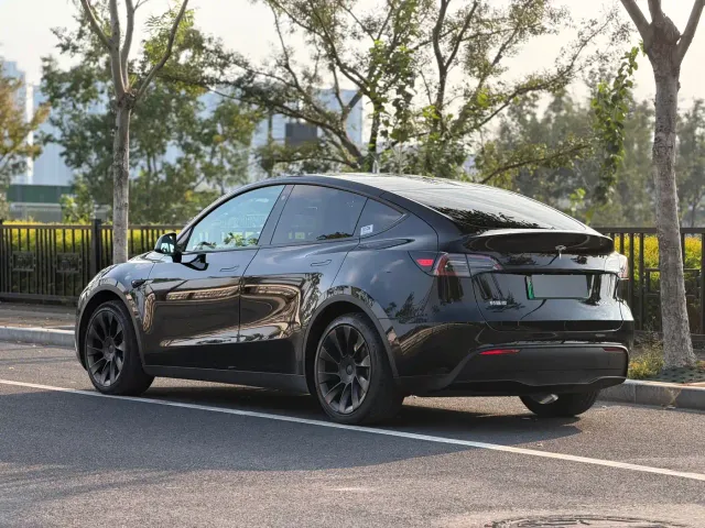 Tesla Model Y — Фото автомобиля 4