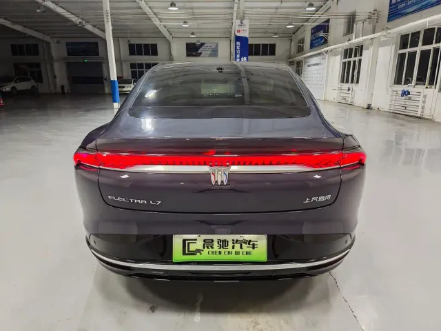 Buick Electra L7 — Фото автомобиля 5