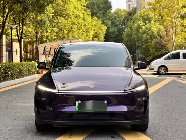 Tesla Model Y 2025 Rear-Wheel Drive — Фото автомобиля 2