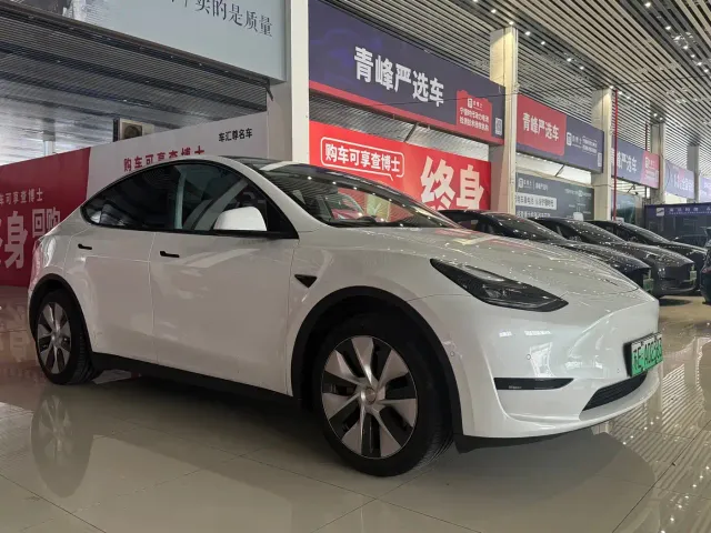 Tesla Model Y — Фото автомобиля 3