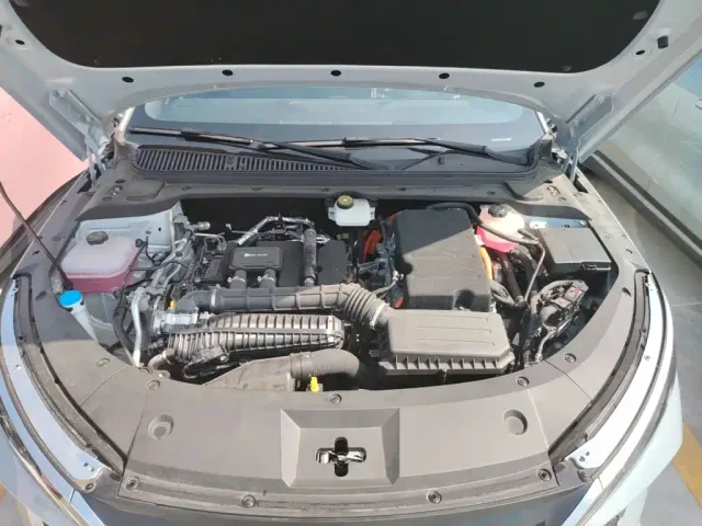 BYD Qin L — Фото автомобиля 19