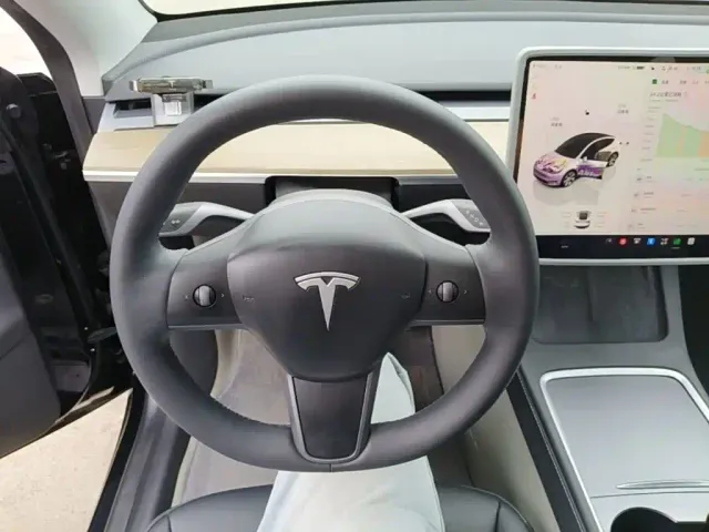 Tesla Model Y — Фото автомобиля 10