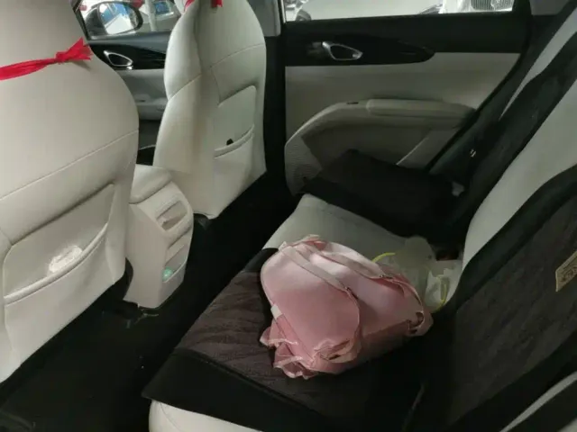 Geely Starry Wish — Фото автомобиля 16
