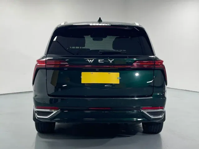 Wey Lanshan — Фото автомобиля 5