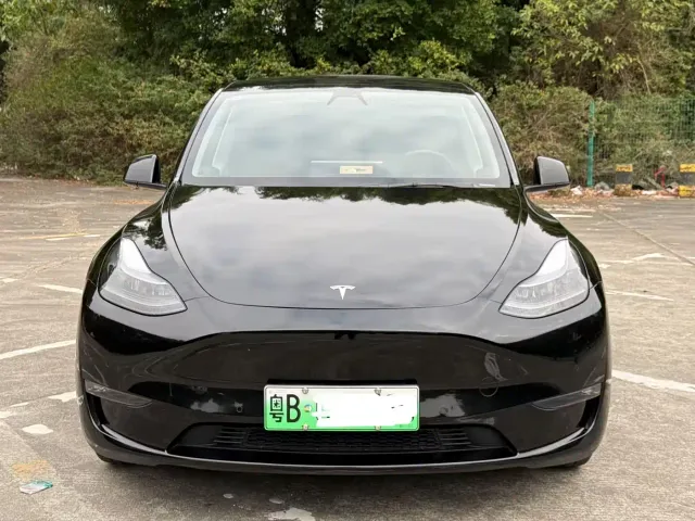 Tesla Model Y — Фото автомобиля 2