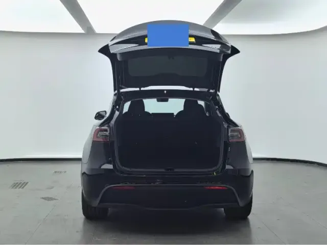 Tesla Model Y — Фото автомобиля 13