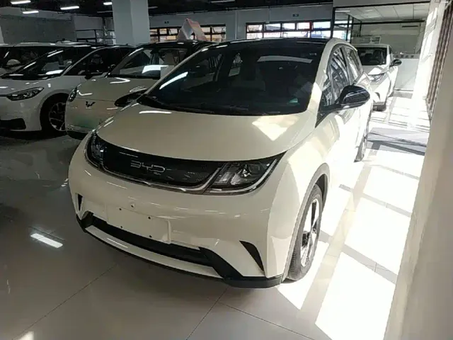 Фотография автомобиля — BYD Dolphin