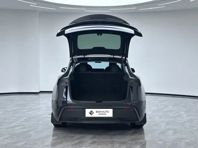 Tesla Model Y — Фото автомобиля 8