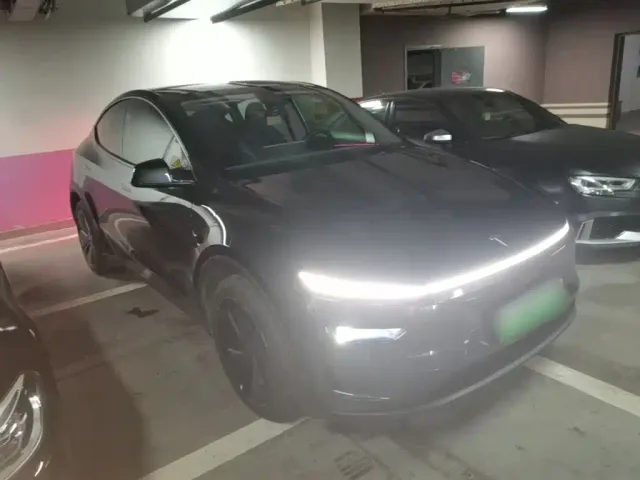 Tesla Model Y — Фото автомобиля 3