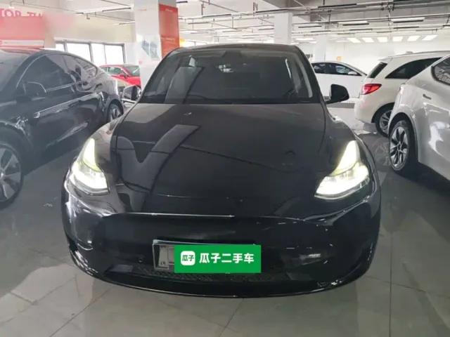 Tesla Model Y — Фото автомобиля 2