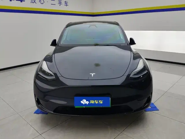 Tesla Model Y — Фото автомобиля 2