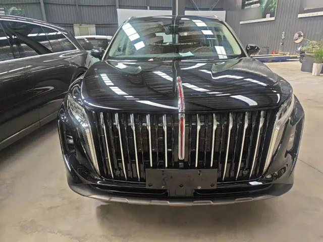Hongqi HS7 PHEV — Фото автомобиля 2