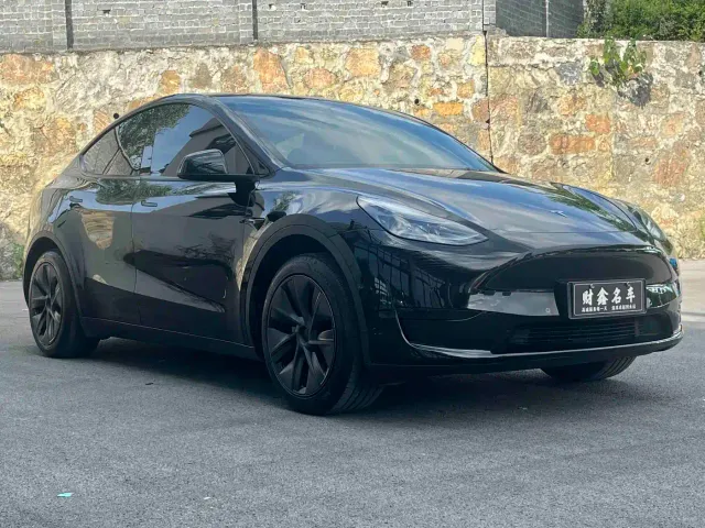 Tesla Model Y — Фото автомобиля 3