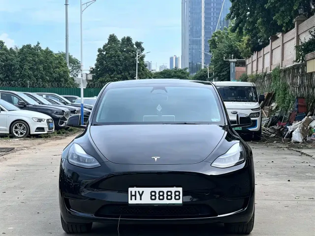 Tesla Model Y — Фото автомобиля 2