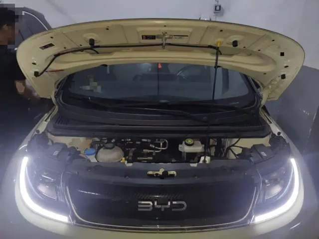 BYD Dolphin — Фото автомобиля 21
