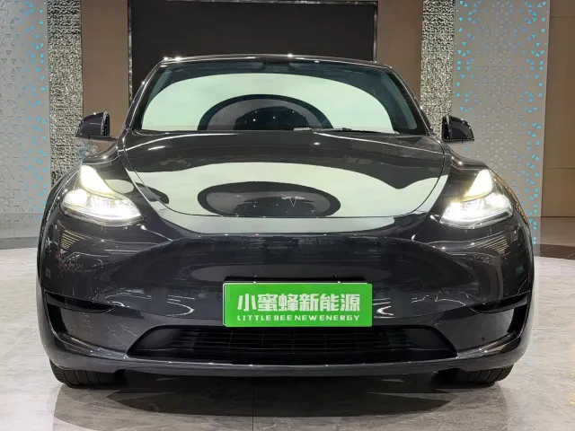 Tesla Model Y — Фото автомобиля 2