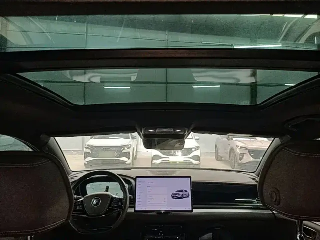 BYD Han — Фото автомобиля 17