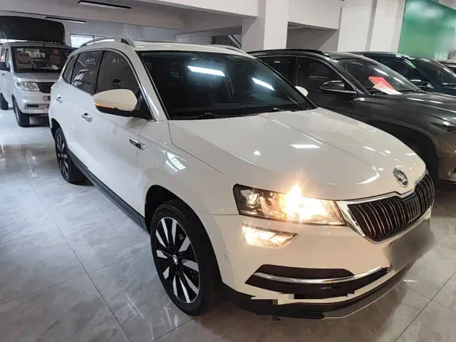 Skoda Karoq — Фото автомобиля 3