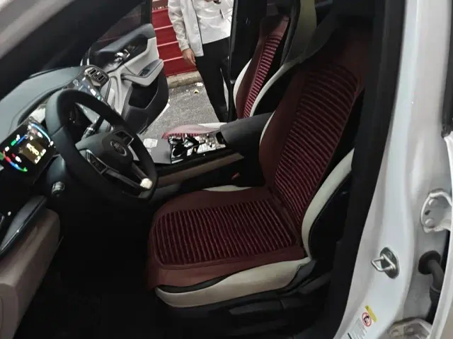 BYD Qin PLUS — Фото автомобиля 16