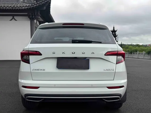 Skoda Karoq — Фото автомобиля 5