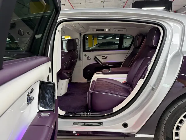 Zunjie Zunjie S800 2025 Model Extended Range Starlight Executive Edition 4-seater — Фото автомобиля 12