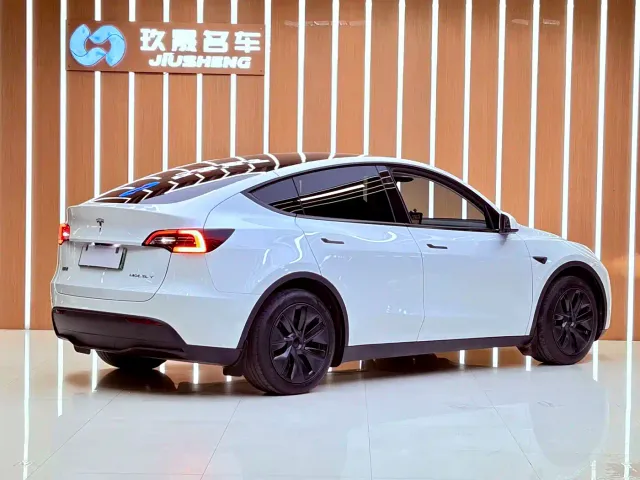 Tesla Model Y — Фото автомобиля 18