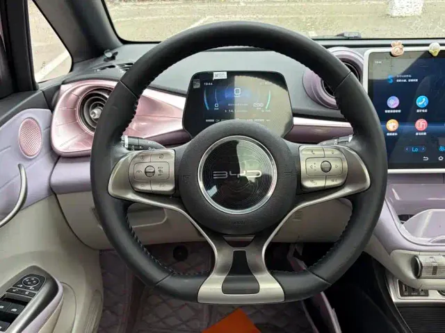 BYD Dolphin 2021 401km Knight Edition — Фото автомобиля 12