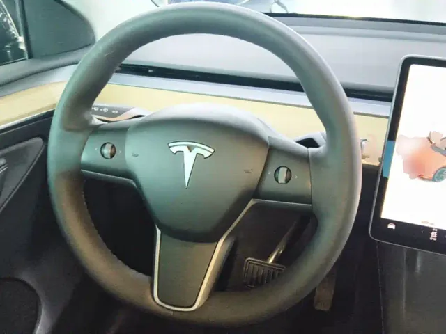 Tesla Model Y — Фото автомобиля 10