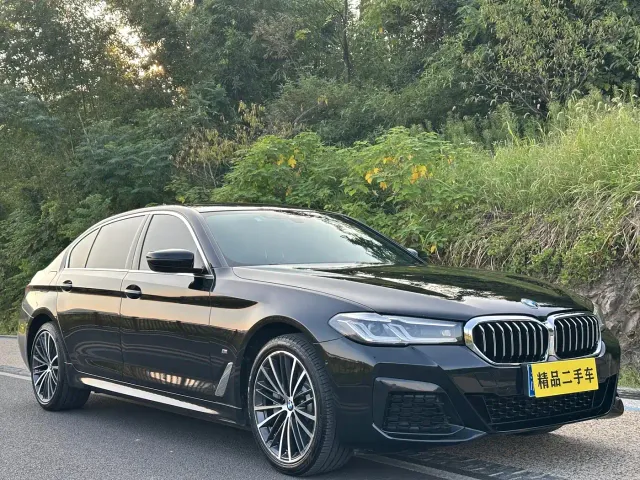 BMW 5 Series — Фото автомобиля 3