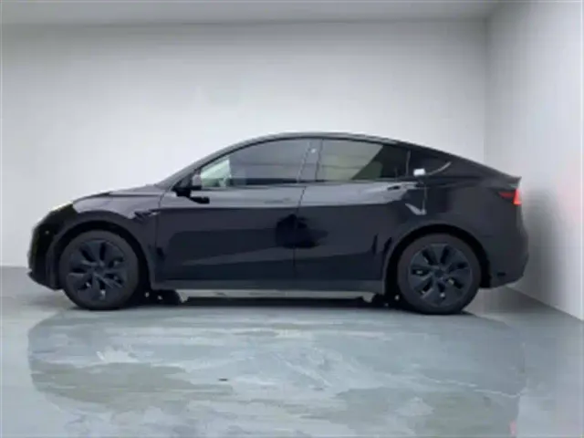 Tesla Model Y — Фото автомобиля 2