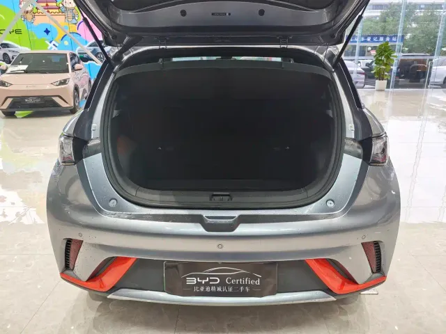 BYD Dolphin — Фото автомобиля 16