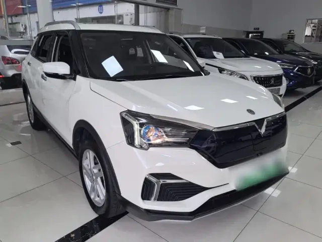Venucia T60EV — Фото автомобиля 3