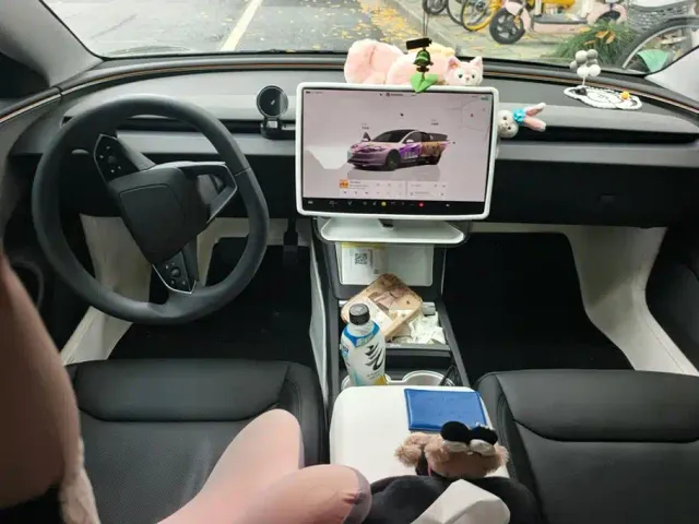 Tesla Model 3 — Фото автомобиля 12