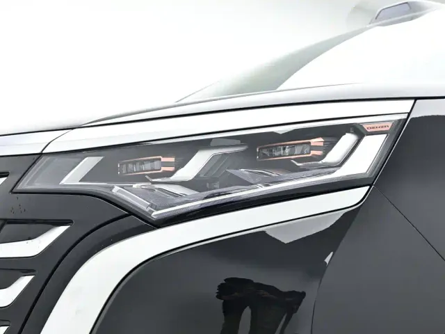 Denza D9 — Фото автомобиля 10