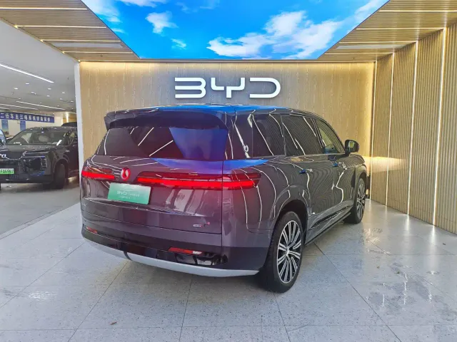 Denza N9 — Фото автомобиля 12