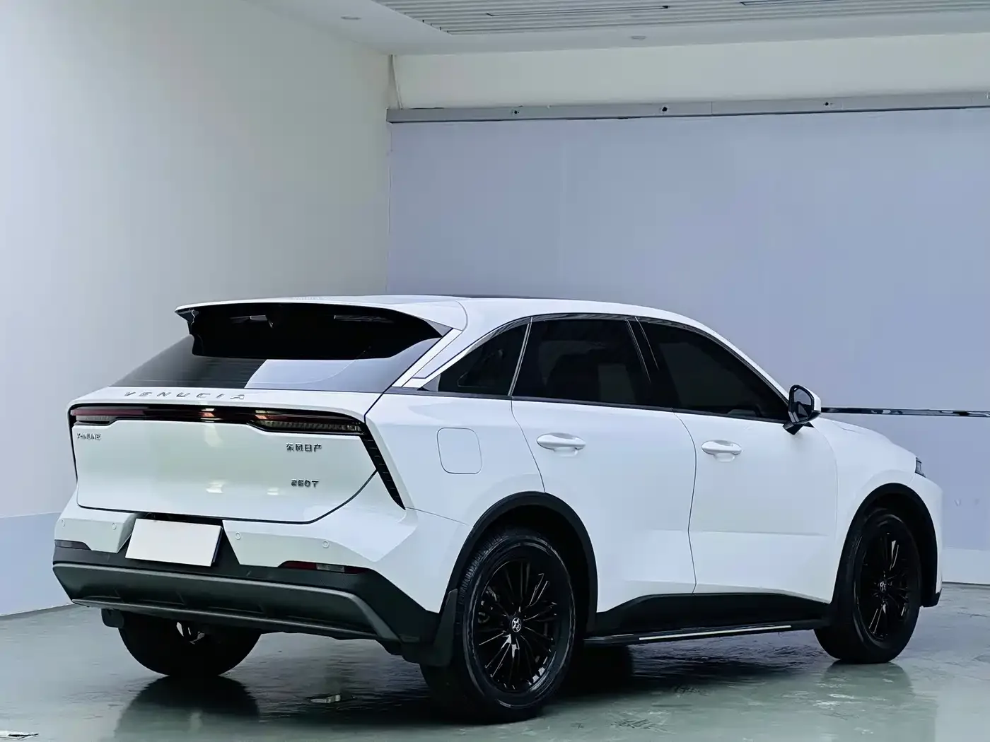 Venucia Venucia Big V 2021 260T Idol Edition — Фото автомобиля 6