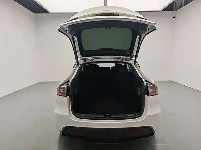 Tesla Model Y — Фото автомобиля 15